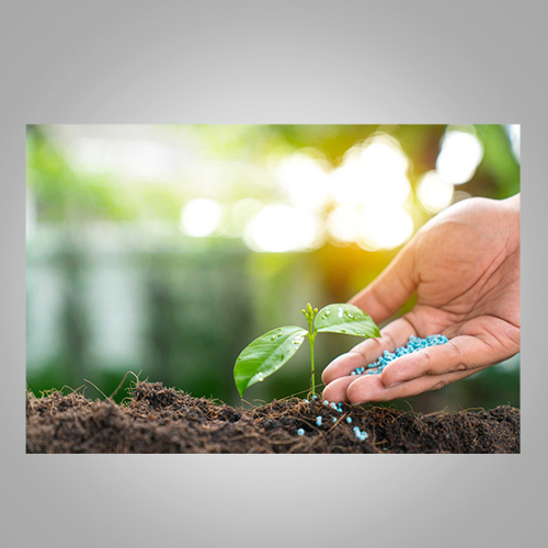 Pesticides & Fertilizers